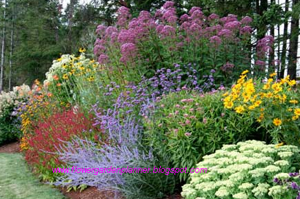 perennial-flower-garden-design-plans-54 Многогодишна цветна градина дизайн планове