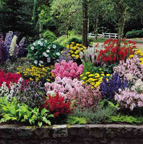 perennial-flower-garden-designs-81_10 Многогодишни цветни градински дизайни