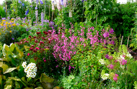 perennial-garden-design-ideas-52_2 Многогодишни идеи за градински дизайн