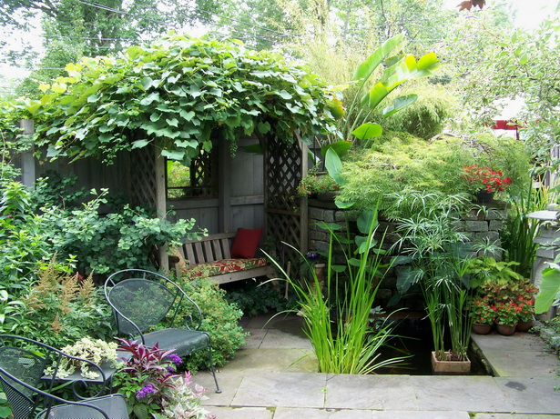 Снимки на градини в задния двор