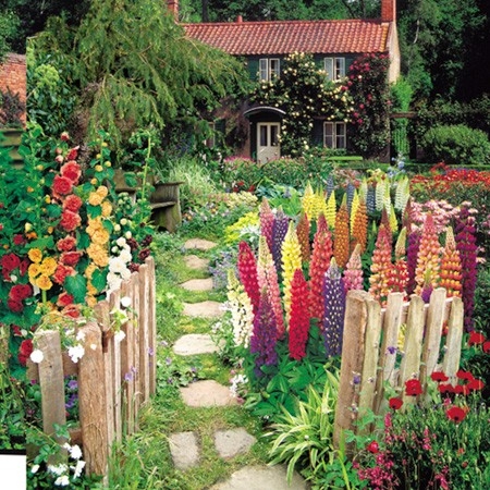 photos-of-cottage-gardens-30_13 Снимки на Вила градини