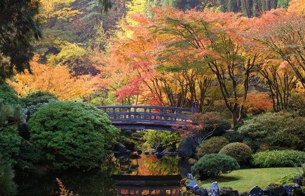 photos-of-japanese-gardens-46_8 Снимки от японски градини