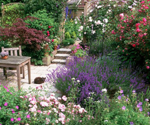 pictures-of-english-cottage-gardens-10 Снимки на английски градини