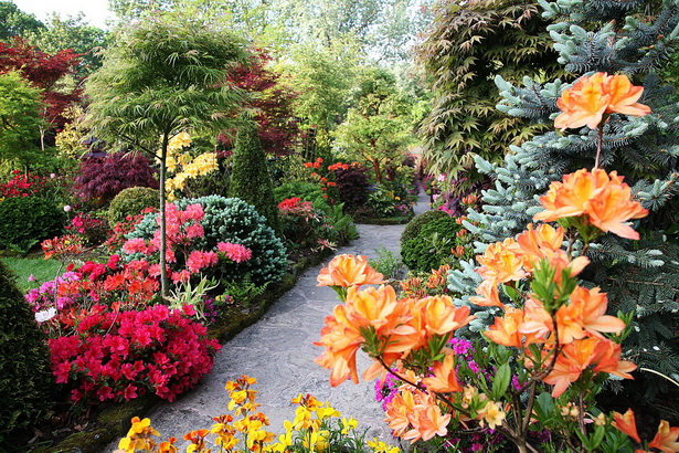 pictures-of-english-gardens-91_18 Снимки на английски градини