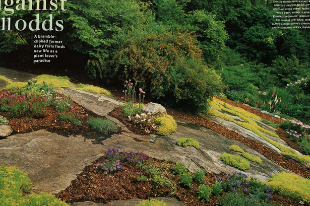 pictures-of-rock-gardens-on-slopes-85 Снимки на алпинеуми на склонове