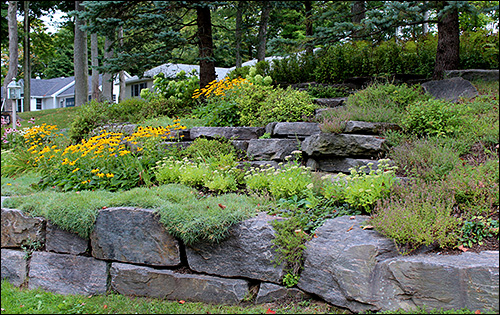 pictures-of-rock-gardens-on-slopes-85_10 Снимки на алпинеуми на склонове