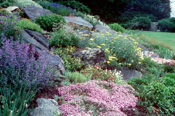 pictures-of-rock-gardens-on-slopes-85_2 Снимки на алпинеуми на склонове