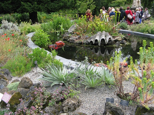 pictures-of-rockery-gardens-28_3 Снимки на алпинеуми градини