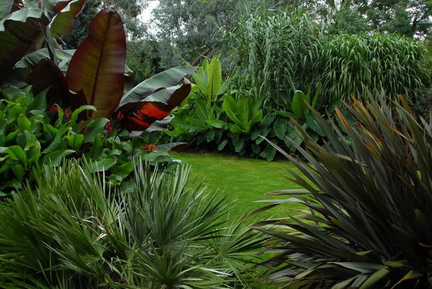 planning-a-tropical-garden-43_8 Планиране на тропическа градина