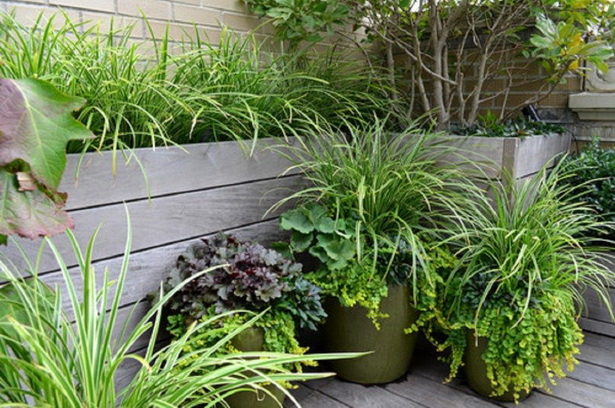 planting-schemes-for-small-gardens-70_14 Схеми за засаждане на малки градини