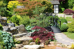 plants-for-a-japanese-garden-design-11_18 Растения за японски градински дизайн