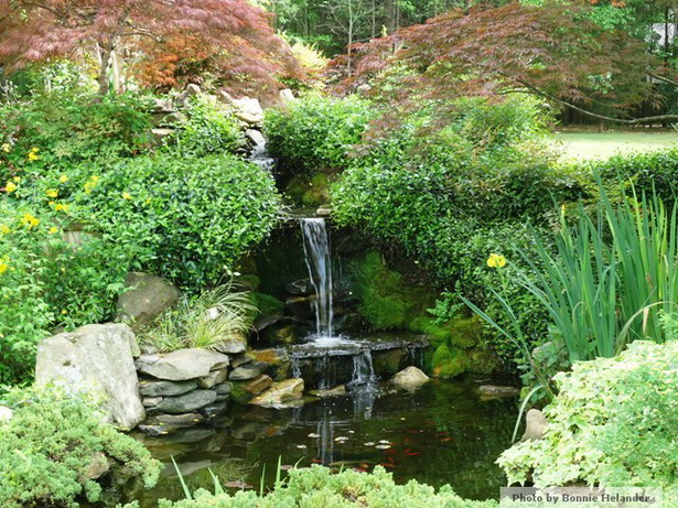 plants-for-a-japanese-garden-design-11_20 Растения за японски градински дизайн