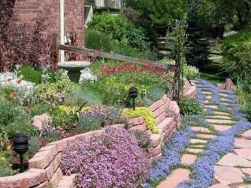 plants-for-a-rock-garden-29_9 Растения за алпинеум