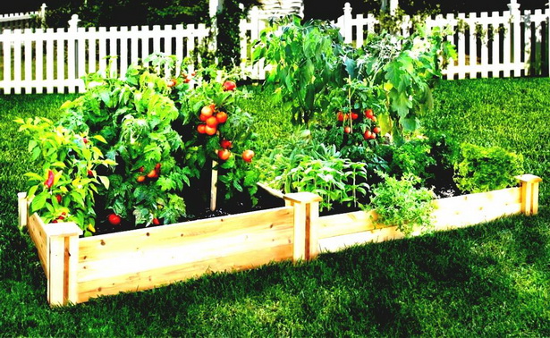 plants-for-a-small-garden-bed-87_8 Растения за малко градинско легло