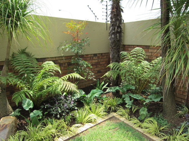 plants-for-a-tropical-garden-62_11 Растения за тропическа градина