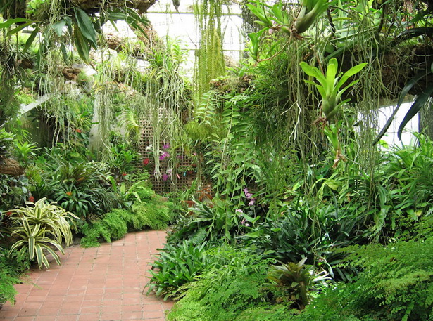 plants-for-a-tropical-garden-62_6 Растения за тропическа градина
