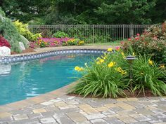 plants-for-around-pools-75_15 Растения за около басейни
