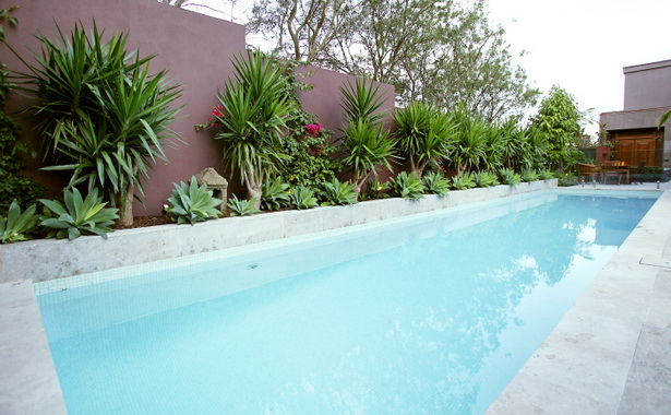 plants-for-around-swimming-pools-93_3 Растения за басейни