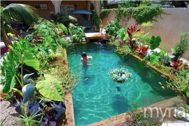 plants-for-around-swimming-pools-93_6 Растения за басейни