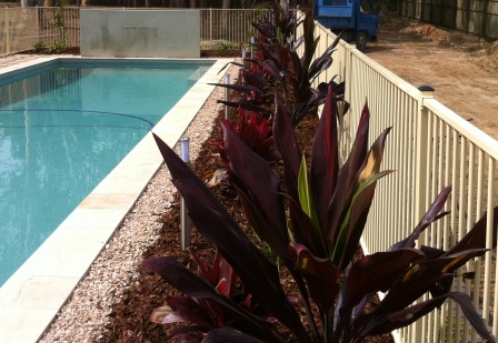 plants-for-around-swimming-pools-93_9 Растения за басейни
