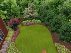 plants-for-backyard-landscaping-75_11 Растения за задния двор озеленяване