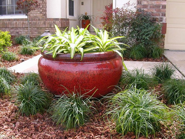 plants-for-backyard-landscaping-75_4 Растения за задния двор озеленяване