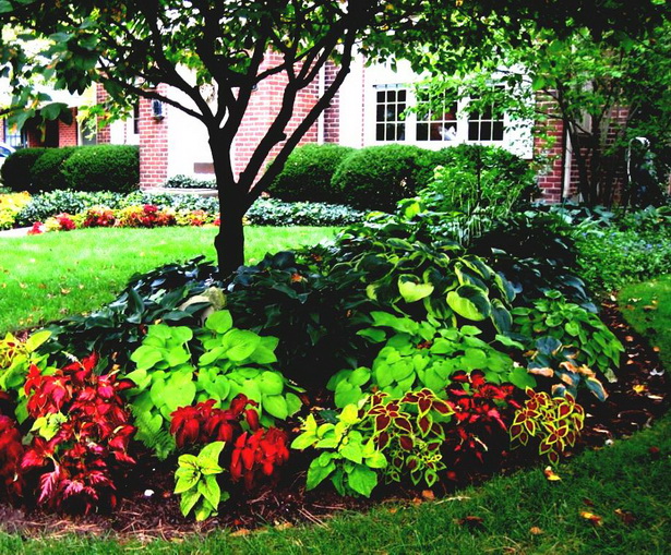 plants-for-front-garden-ideas-47_13 Растения за идеи за предната градина