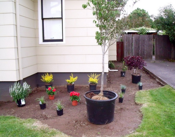 plants-for-front-garden-ideas-47_17 Растения за идеи за предната градина