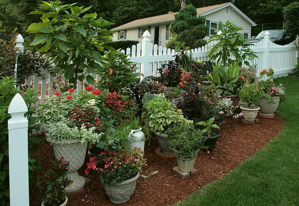 plants-for-front-of-house-ideas-97_15 Растения за предната част на къща идеи