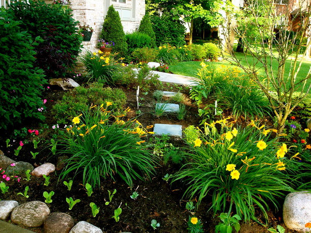 plants-for-front-yard-landscaping-14_15 Растения за озеленяване на предния двор