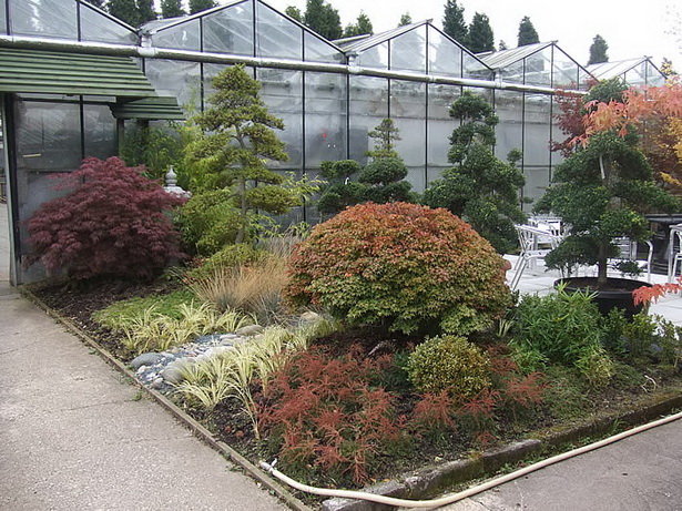 plants-for-japanese-gardens-uk-59_8 Растения за японски градини Великобритания
