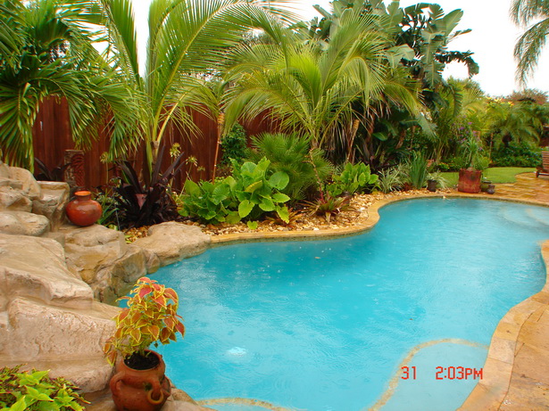 plants-for-pool-landscaping-79_17 Растения за озеленяване на басейни