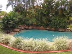 plants-for-pool-landscaping-79_18 Растения за озеленяване на басейни