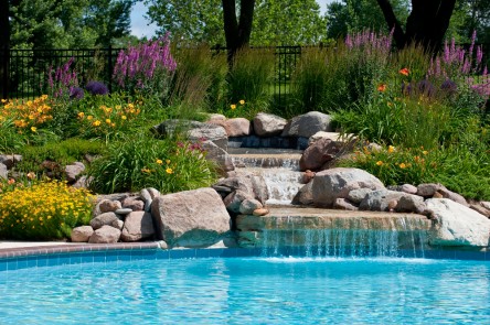 plants-for-pool-landscaping-79_3 Растения за озеленяване на басейни