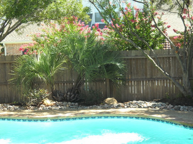 plants-for-pool-landscaping-79_6 Растения за озеленяване на басейни