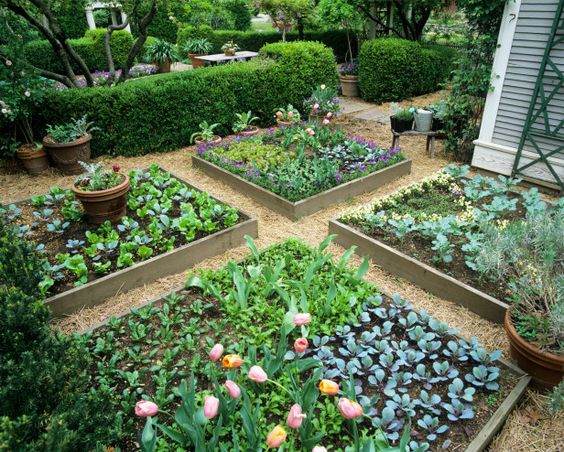 plants-for-small-garden-beds-78_10 Растения за малки градински легла