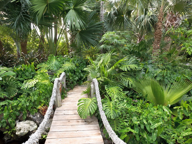 plants-for-tropical-landscapes-55_15 Растения за тропически пейзажи