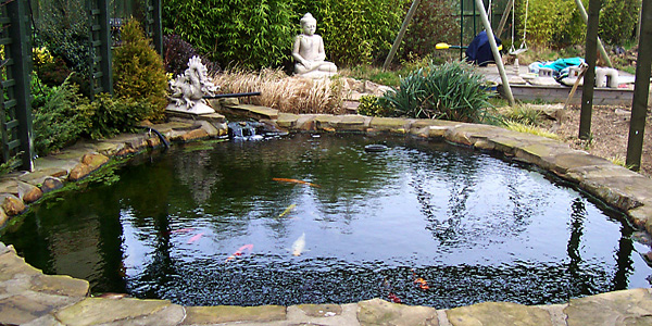 pond-design-56_6 Дизайн на езерце