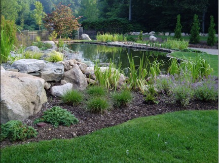 pond-landscaping-ideas-73_13 Езерце озеленяване идеи