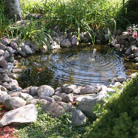 pond-landscaping-04_15 Езерце озеленяване