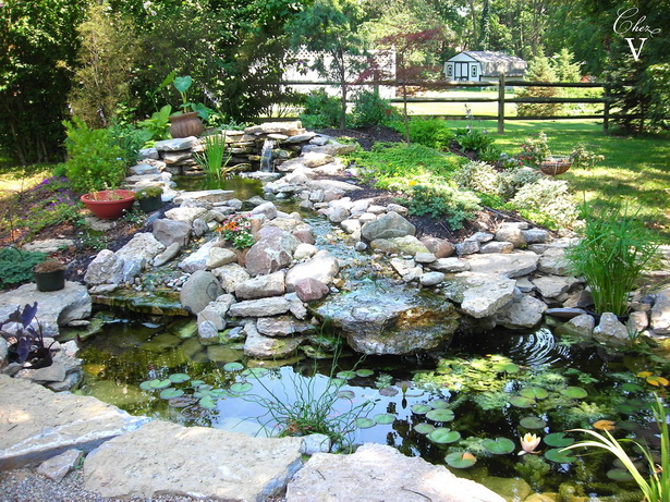 pond-landscaping-04_17 Езерце озеленяване