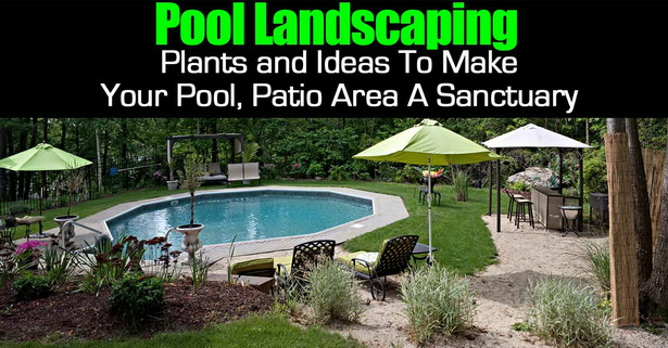 pool-area-landscaping-ideas-19_13 Басейн площ озеленяване идеи