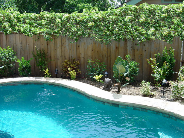 pool-area-landscaping-77_9 Озеленяване на басейн