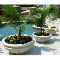 pool-planter-ideas-31_18 Басейн плантатор идеи