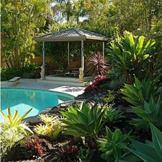 pool-tropical-landscaping-ideas-56_7 Басейн тропически идеи за озеленяване