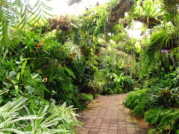 rainforest-garden-design-33 Дъждовна градина дизайн