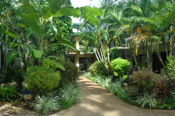 rainforest-garden-design-33_17 Дъждовна градина дизайн