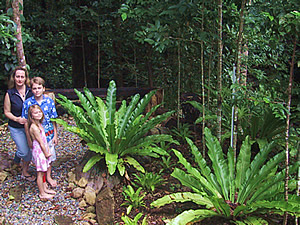 rainforest-garden-design-33_19 Дъждовна градина дизайн