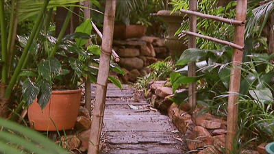 rainforest-garden-design-33_2 Дъждовна градина дизайн