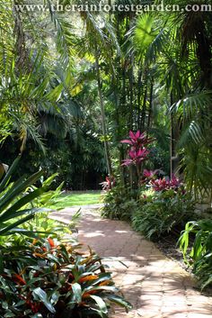 rainforest-garden-design-33_20 Дъждовна градина дизайн
